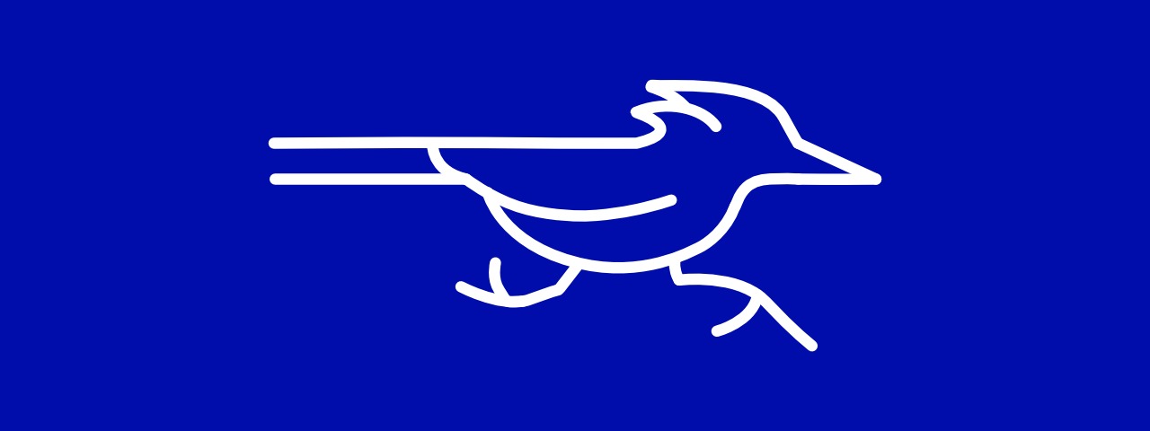 Logo Roadrunner Freight MX